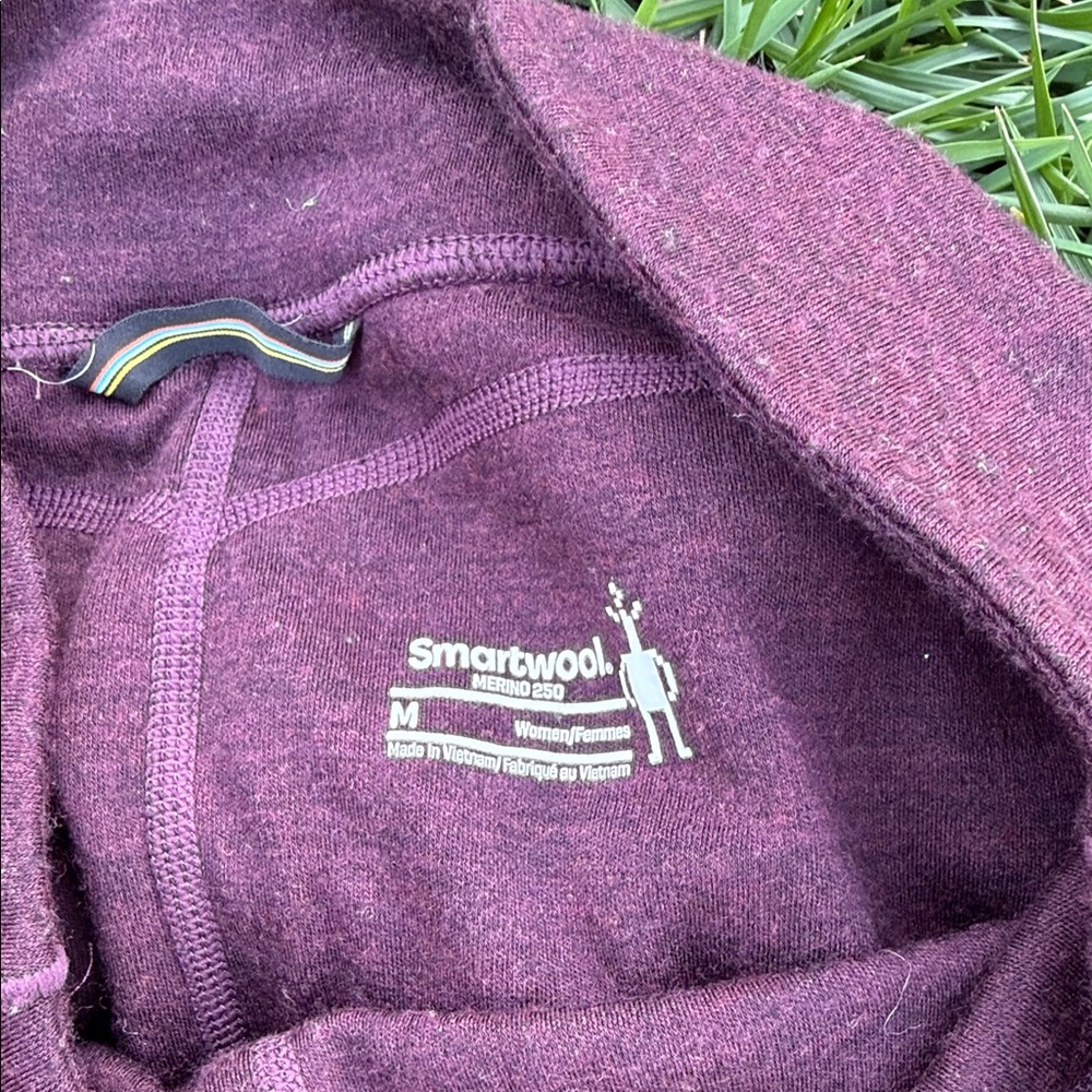 Smartwool 250 Base Layer Pants - image 2